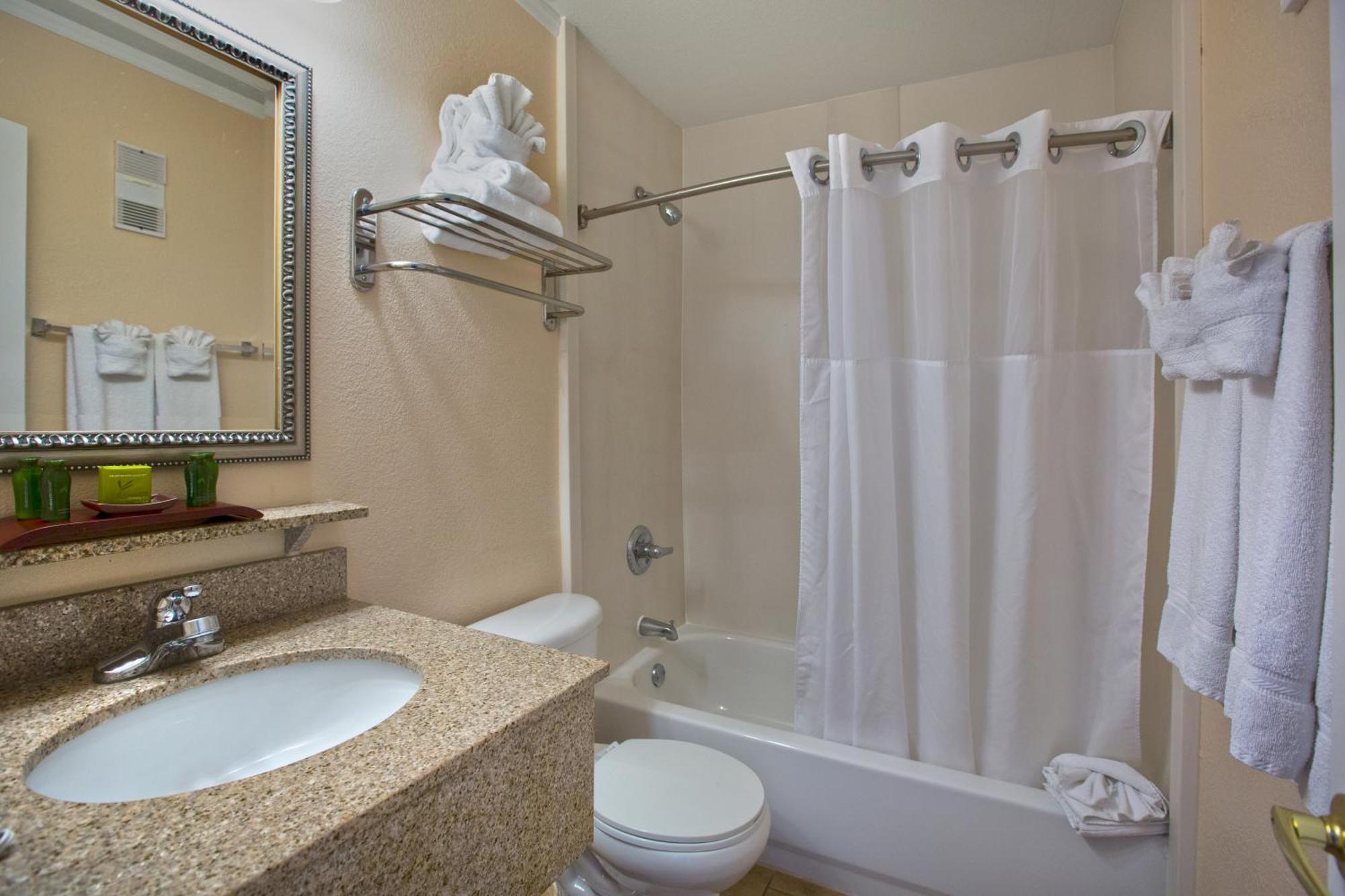 One-Bedroom Suite Conservation View