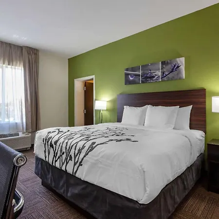 Sleep Inn & Suites Tampa South-2