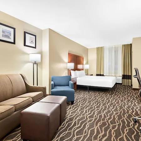 Comfort Suites Tampa Airport North-3