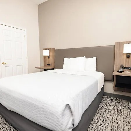 La Quinta By Wyndham Tampa Central-3